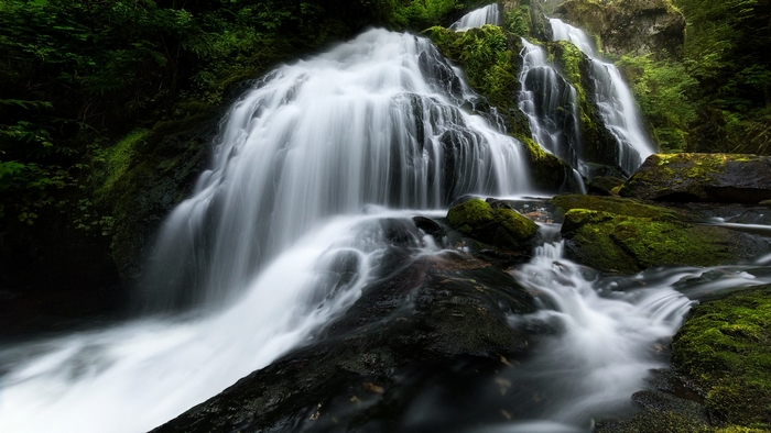 Waterfall cascading over mossy rocks in a forest