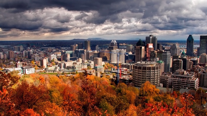 Montreal Skyline with Autumn Foliage