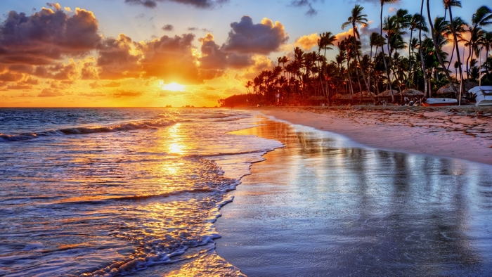 Sunset over a tropical beach with palm trees and ocean waves