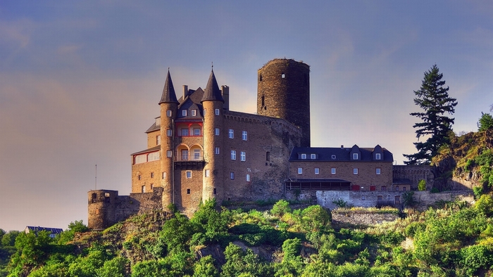 Castle on a hill with trees and sky