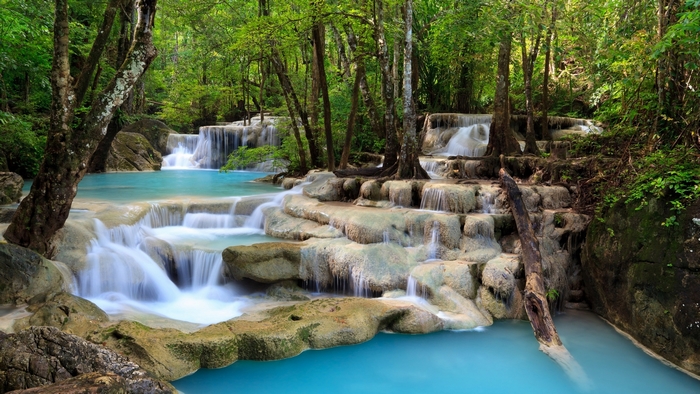 Beautiful cascading waterfalls in a lush green forest