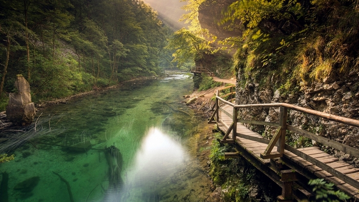 Wooden walkway along a river in a forest