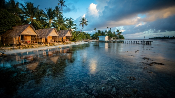 Tropical bungalows on a beach with palm trees and ocean