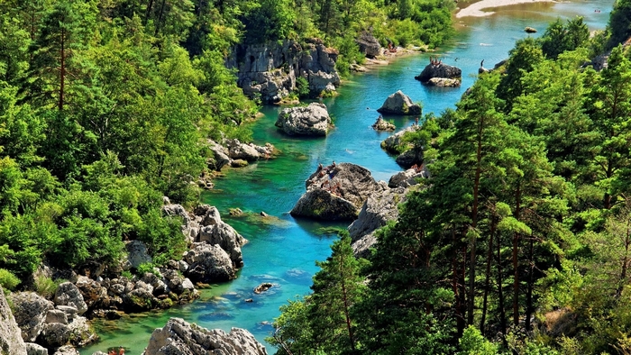 Serene River Flowing Through Lush Pine Forest