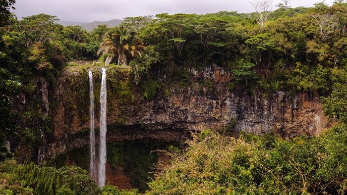 Waterfall cascading down a rocky cliff surrounded by jungle trees