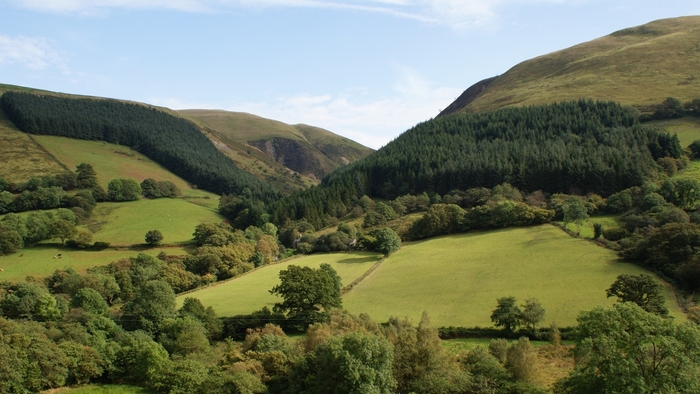 Rolling hills and forested valley in Wales, Britain