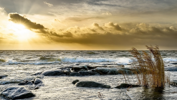 Sunlight breaking through clouds over rocky ocean shore