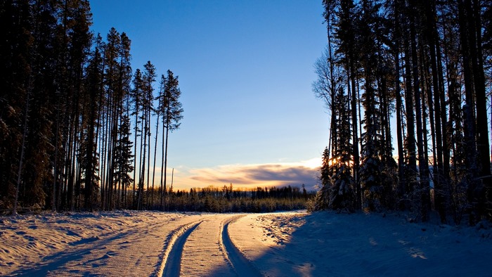 Snowy road through a forest at sunset