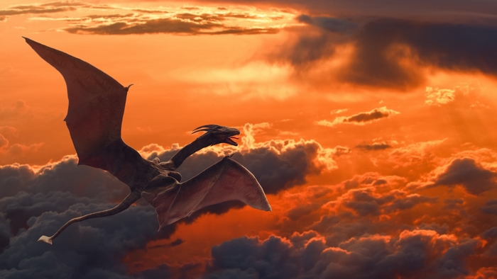 Dragon flying through orange clouds at sunset