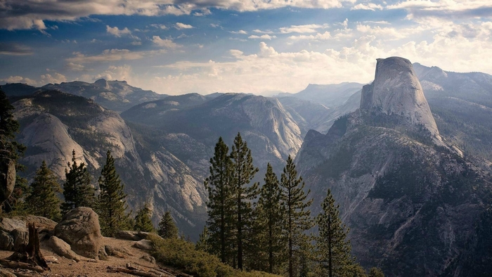 Half Dome mountain range with pine trees in Yosemite