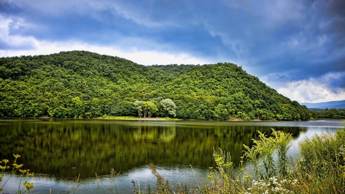 Green mountain forest reflected in a lake under a cloudy sky