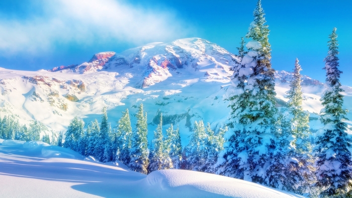 Snowy mountain landscape with pine trees