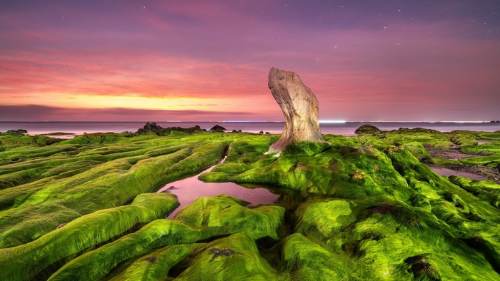 Mossy rocks on a beach at twilight