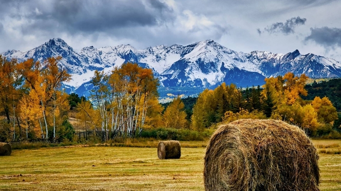 Hay bales in a field with snow-capped mountains and autumn trees