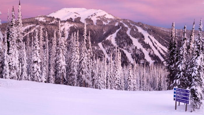 Snowy mountain with ski slopes and pine trees at sunset