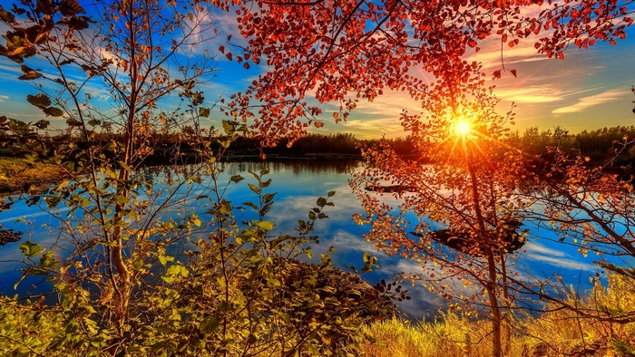 fall, autumn, glow, sun, sunlight, colors, beautiful, trees, lake ...