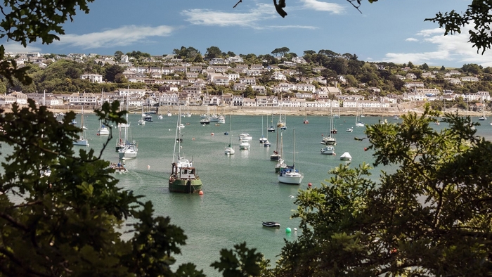 Boats in a harbor with a town on a hill