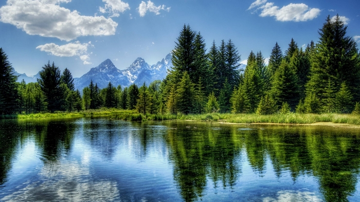 Forest lake with mountains and clouds reflection