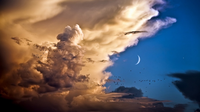 Birds flying in front of dramatic clouds with a crescent moon