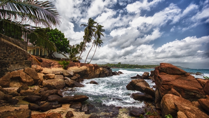Rocky coastline with palm trees and ocean waves