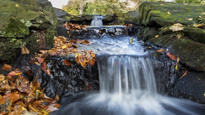 Small waterfall in a forest with autumn leaves