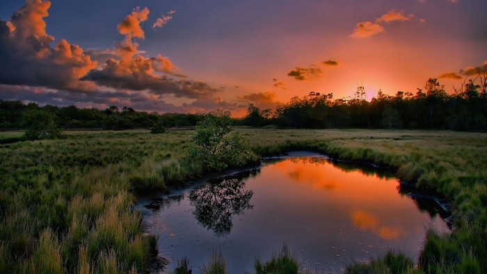 Sunset over a marshy lake with trees
