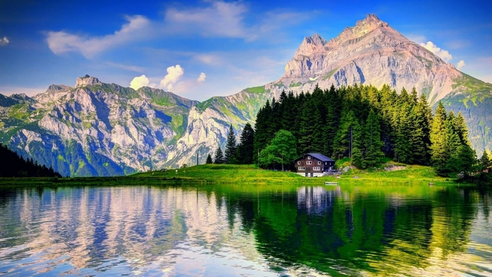 Mountain and Forest Reflection on Serene Lake