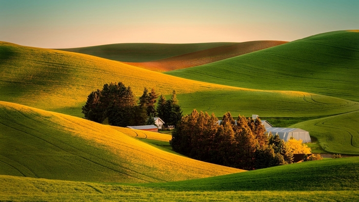 Rolling hills farm at sunset