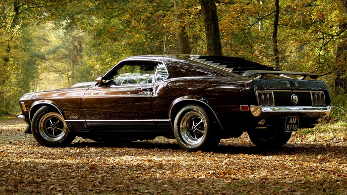 Brown 1970 Ford Mustang Mach 1 in Autumn Forest