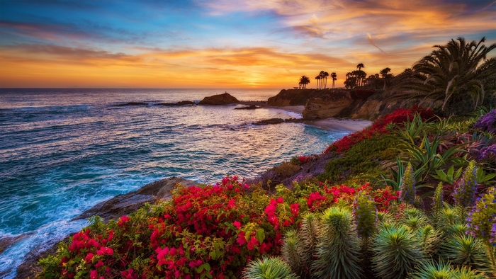 Laguna Beach Coastline at Sunset with Flowers