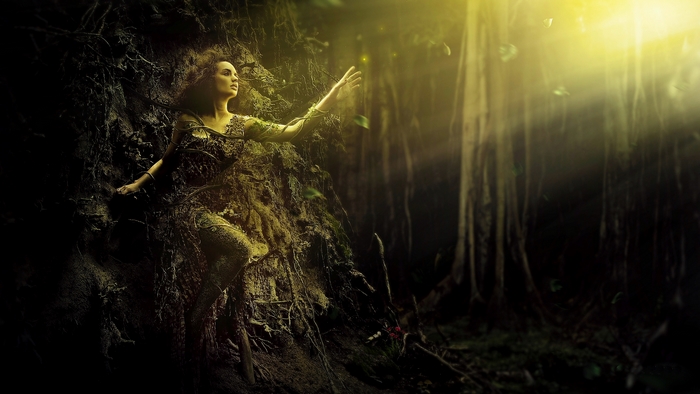 Mystical Fairy Emerging from Tree in Enchanted Forest