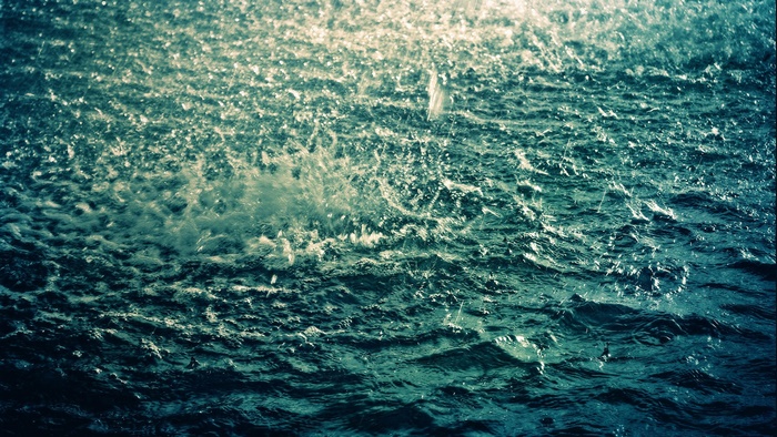 Rain falling on the ocean surface