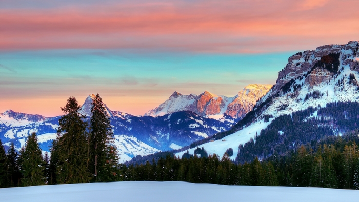 Snowy mountains at sunset with pine trees