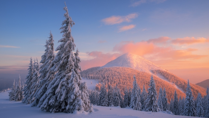 Snow-covered mountains and trees at sunset