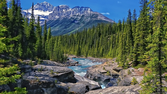 Mistaya River Flowing Through Rocky Forest in Alberta