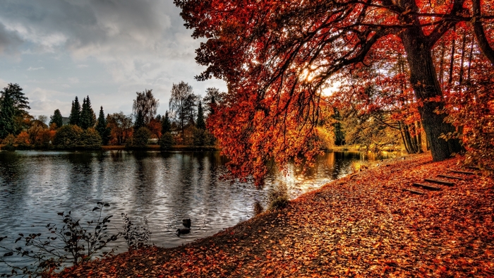 Autumn lake with colorful foliage and trees