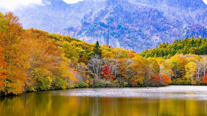 Autumn Trees and Mountain Lake Reflections