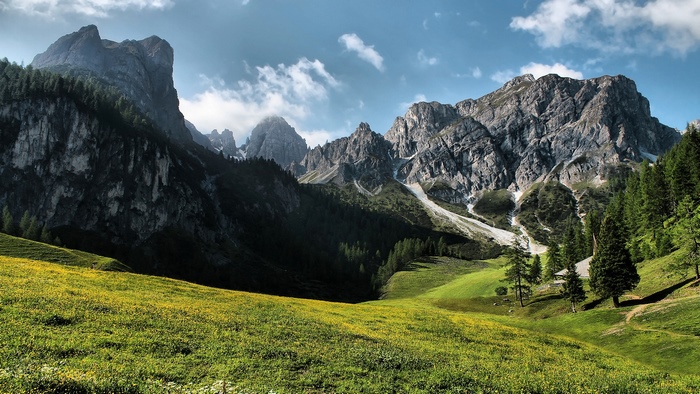 Green meadow with yellow flowers and majestic mountains
