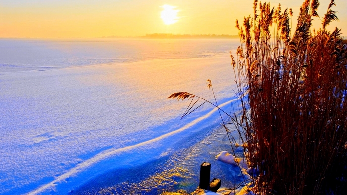 Winter sunrise over a frozen landscape with reeds