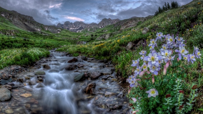 Mountain stream with wildflowers and rocky peaks under cloudy sky