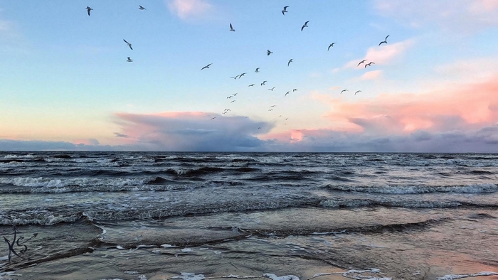 Seagulls flying over the Baltic Sea with waves and clouds