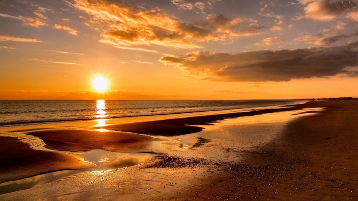 Golden Sunset Over a Serene Beach Shore