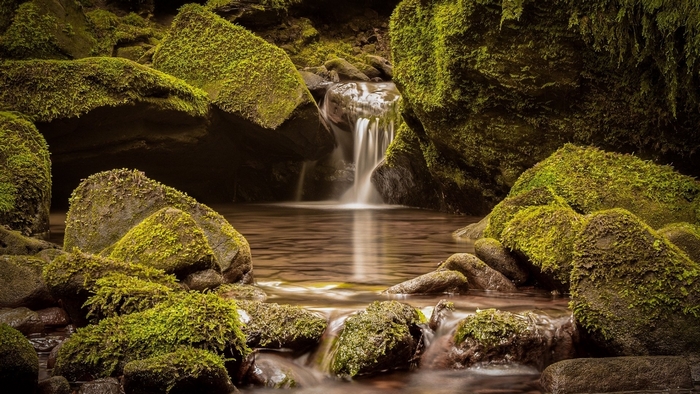 Moss-covered rocks and a waterfall in a forest stream