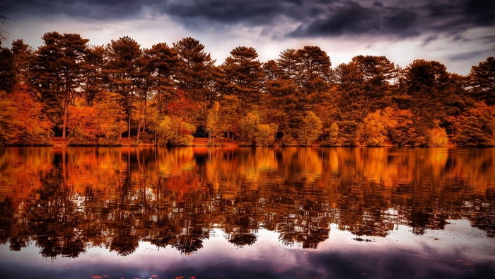 Autumn Forest Reflection on Calm Lake