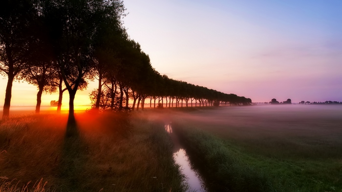 Misty Sunrise Over Serene Tree-Lined Stream