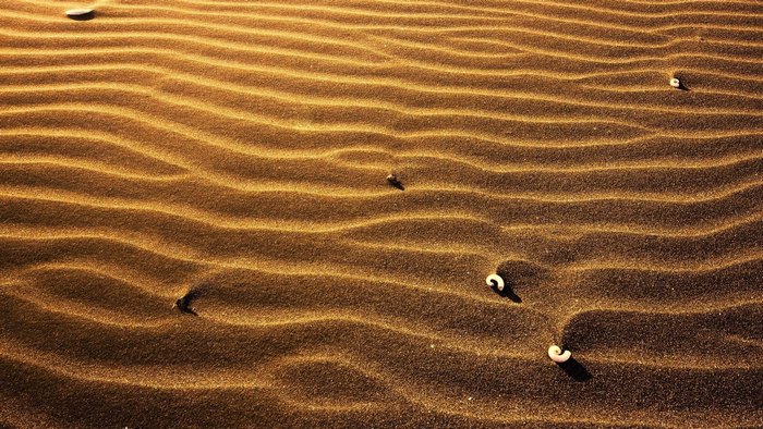 Sand dunes with shells and patterns