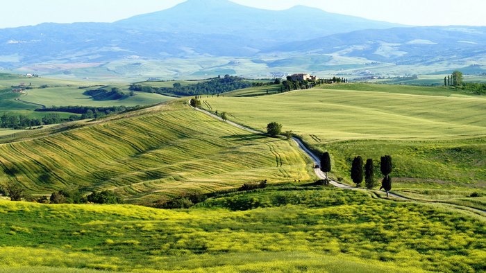 Peaceful Green Hills and Pathway in Tuscany, Italy
