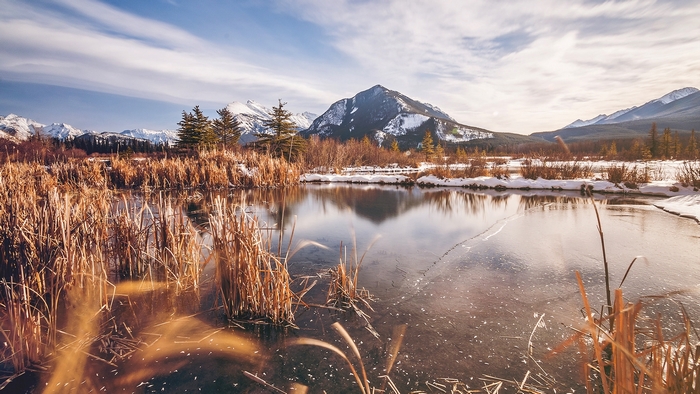 Frozen pond with reeds and snow-capped mountains
