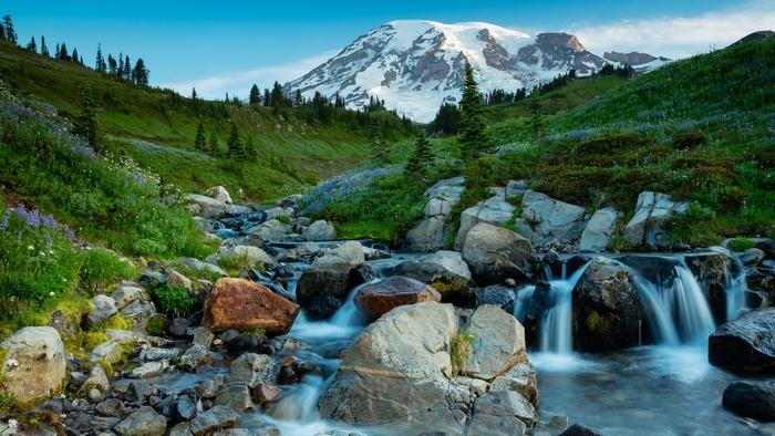 Snow-capped mountain and stream with wildflowers