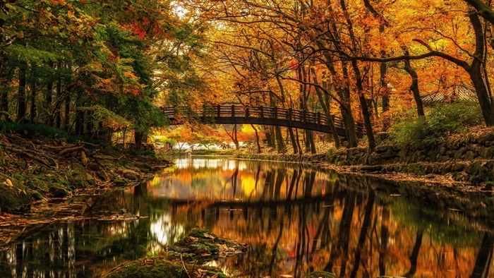 Autumn Bridge Over a Serene River